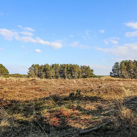 Thisted * Torsted (Nordjylland)